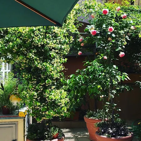 Viadelloca35 *
