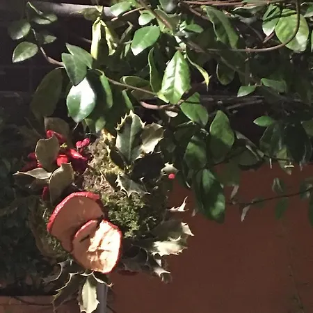 Viadelloca35 דירה רומא