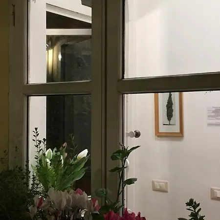 Appartement Viadelloca35 *